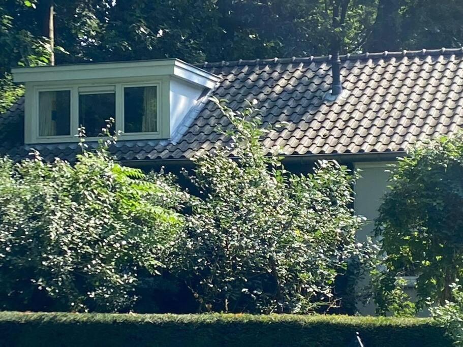Duinhoek: Luxe Studio, Prachtig En Rustig Gelegen Zeist Exterior photo
