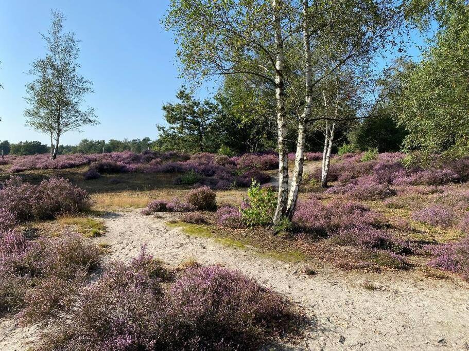 Duinhoek: Luxe Studio, Prachtig En Rustig Gelegen Zeist Exterior photo