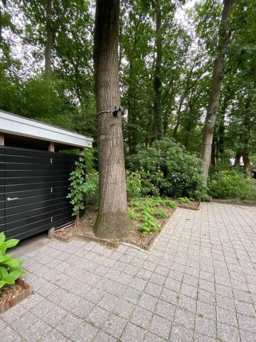 Duinhoek: Luxe Studio, Prachtig En Rustig Gelegen Zeist Exterior photo